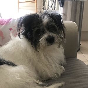 Meet your Posher, Robyn